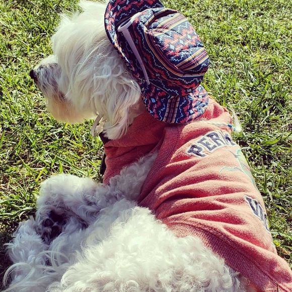 Share 20 ๐ปSharing is Caring๐ป - Picture 7 of 16